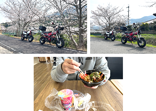 小型お花見ツーリング